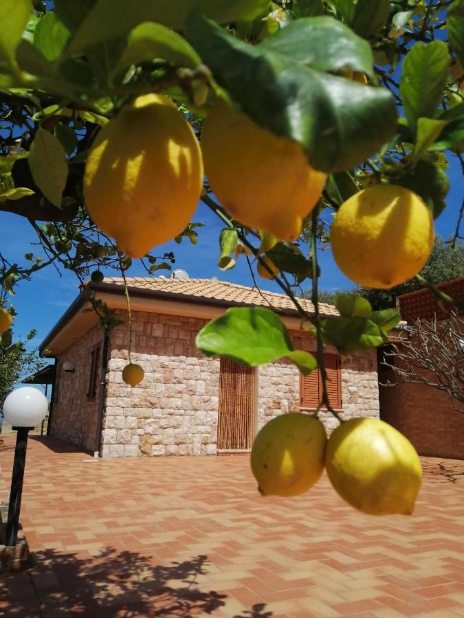 Villa Verde Cefalu Exterior photo